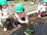 DSCF7767_R.jpg