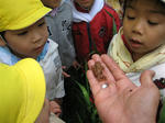 IMG_4580_R.jpg