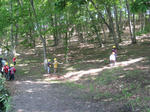 IMG_5000_R.jpg