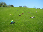 IMG_5122_R.jpg