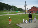 IMG_5311_R.jpg