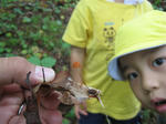 IMG_5973_R.jpg