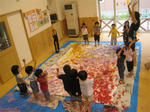 IMG_6164_R.jpg