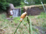 DSCF8821_R.jpg