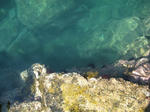 IMG_6585_R.jpg