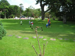 IMG_7073_R.jpg