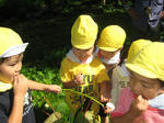 IMG_7445_R.jpg