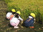 IMG_7537_R.jpg