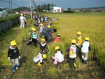 IMG_7541_R.jpg