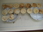 IMG_9229_R.jpg