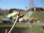 IMG_0988_R.jpg