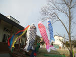 IMG_2860_R.jpg
