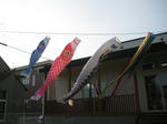 IMG_2871_R.jpg