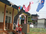 IMG_3088_R.jpg