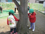 IMG_3076_R.jpg