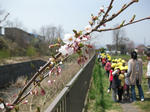 IMG_3133_R.jpg