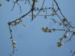 IMG_3165_R.jpg