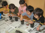 IMG_3248_R.jpg