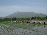IMG_3676_R.jpg