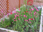 IMG_3853_R.jpg