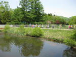 IMG_3849_R.jpg