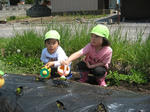 IMG_3523_R.jpg