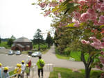 IMG_3583_R.jpg