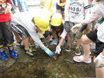 IMG_0877_R.jpg