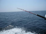 IMG_2047_R.jpg