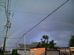 P1000023_R.jpg