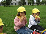 IMG_2720_R.jpg