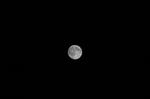 IMG_0822_R.jpg