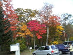 P1000035_R.jpg