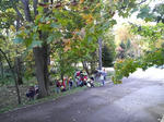 P1000043_R.jpg