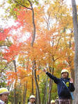 IMG_5998_R.jpg