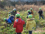 IMG_6589_R.jpg