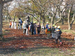 IMG_6774_R.jpg