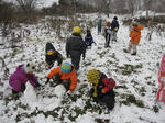 IMG_0127_R.jpg