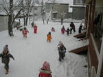 IMG_0357_R.jpg