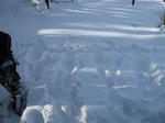 IMG_0484_R.jpg