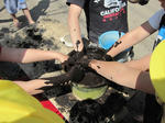 IMG_3534_R.JPG