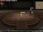 mabinogi_2010_01_01_001.jpg