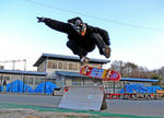 C.C.S.P SK8er's Photo 4