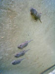 200905220816000.jpg