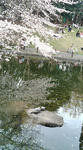 F1010412.jpg