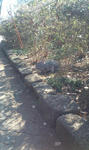 F1000598.jpg