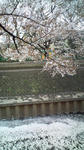 F1000669.jpg