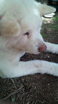 20110514145520.jpg