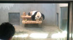 20110912122137.jpg
