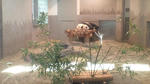 20110912122329.jpg